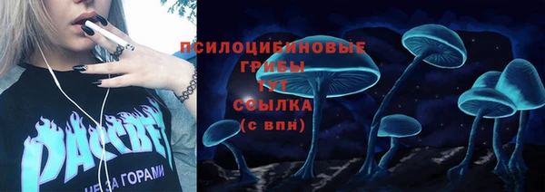 стаф Балахна