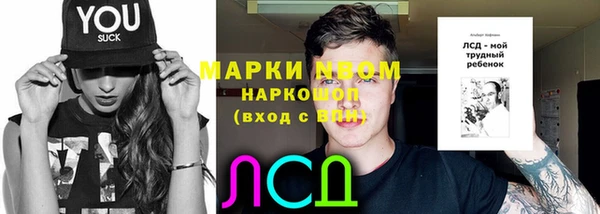 стаф Балахна