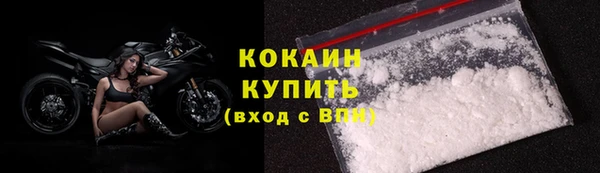 стаф Балахна