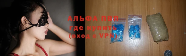 стаф Балахна