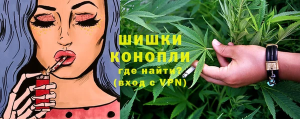 стаф Балахна