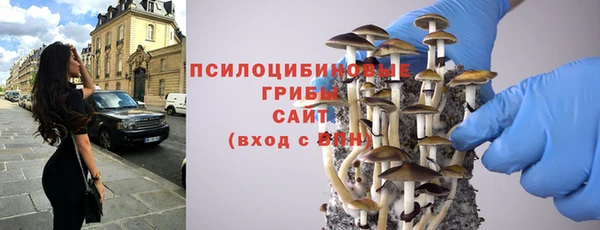 стаф Балахна